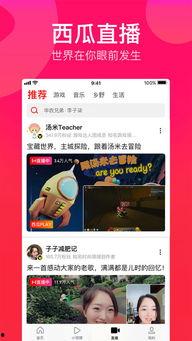 娱乐吃瓜酱视频模板免费,一场惊心动魄的“吃瓜”盛宴